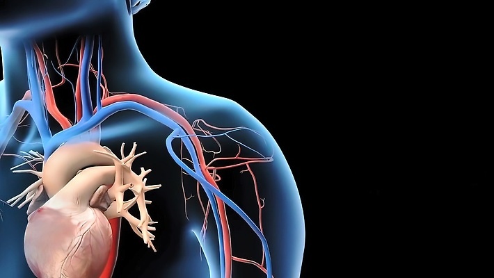 포토 JPG 해외이미지 손 어린이 청진기 건강 병원 사람 사람없음 유치원 고통 시험 환자 의사 바늘 바이러스 보호 위험 어깨 감염 법 주사약 팔 돌봄 면역력 백신 소아과의사 예방접종 전염병 파나마 해외202310 해외포토 레이스천 교육 감정 컨셉 의학 의료기기 모션 신체부위 약 의료진 도구 직물 남아메리카 질병 접종 파일형식