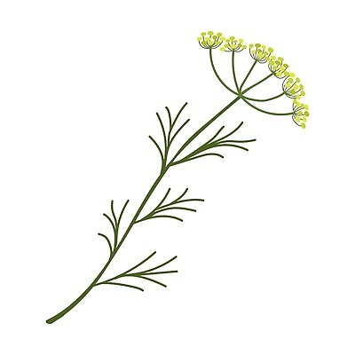 EPS 해외이미지 식물 디자인 꽃 줄기 백그라운드 잎 꽃무늬 패턴 밭 일러스트 자연 부활절 그래픽 장식 봄 벚꽃 나뭇가지 직물 플랫 인쇄 실크 만화 스케치 허브 질감 부드러움 손그림 고립 스크랩북 포장소품 프로방스 벡터 해외202310 해외일러스트 나무 계절 기념일 무늬 농업 포장 미술 감각 오브젝트 생태계 포장재료 파일형식