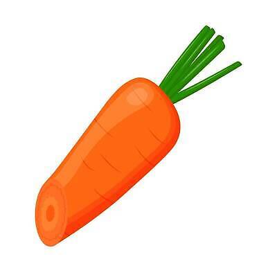 EPS 해외이미지 디자인 배너 음식 백그라운드 잎 다이어트 채소 과일 일러스트 자연 추상 디저트 실내 건강 미술 씨앗 여름 주스 당근 신선 플랫 달콤 맛 만화 먹기 심볼 그림 에코 유기농 슬라이스 비타민 내추럴 고립 숙성 채식주의자 벡터 미니멀리스트 비건 맛있는 해외202310 해외일러스트 식물 웰빙 계절 음료 컨셉 무늬 모션 문화예술 뿌리채소 내부 환경 생태계 채식 영양소 파일형식