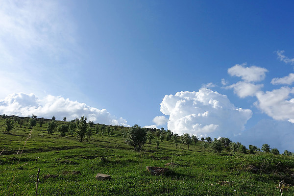 포토 JPG 해외이미지 구름 백그라운드 자연 하늘 날씨 풍경 사람없음 파란색 햇빛 뷰티 흰색 큼 천국 솜털 해외202310 해외포토 자연요소 컬러 태양 크기 생태계 파일형식