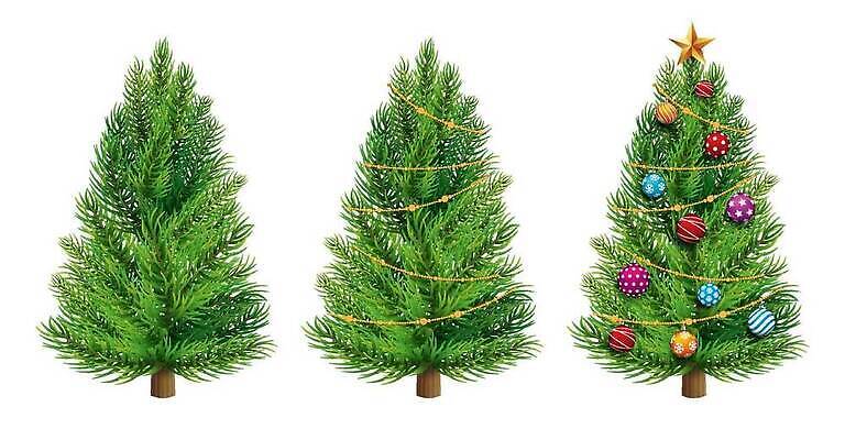 EPS 해외이미지 나무 디자인 계절 행복 리본 컬러 백그라운드 크리스마스 겨울 일러스트 공 자연 휴가 불꽃 새로움 그래픽 장식 빨간색 초록색 빛 크리스마스트리 축제 화환 흰색 축하 소나무 신용카드 황금 만화 연도 심볼 그림 전나무 엘리먼트 가문비나무 해외202310 해외일러스트 식물 기념일 꽃 감정 컨셉 불 금융 생태계 파일형식 벡터