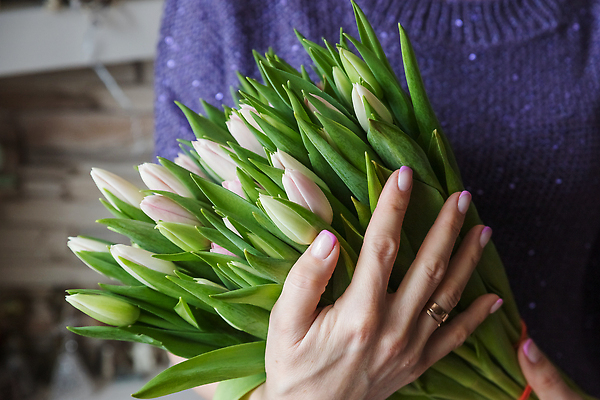포토 JPG 해외이미지 식물 손 계절 여자 기념일 꽃잎 꽃 줄기 분홍색 꽃다발 잎 꽃무늬 휴가 부활절 발렌타인데이 선물 사랑 사람 사람없음 초록색 빛 컬러풀 뷰티 놀람 봄 낭만 튤립 벚꽃 흰색 축하 신선 잡기 생일 그룹 4월 5월 다발 꽃집 내추럴 많음 어머니의날 해외202310 해외포토 감정 컬러 컨셉 무늬 모션 데이이벤트 표정 이벤트 신체부위 상점 날짜 미국문화 파일형식