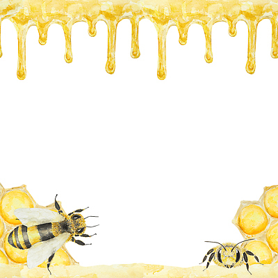 JPG 해외이미지 두마리 일러스트 사람없음 달콤 꿀벌 테두리 꿀 흘림 벌집 허니콤 해외202310 해외일러스트 모양 2 모션 맛 벌_곤충 파일형식