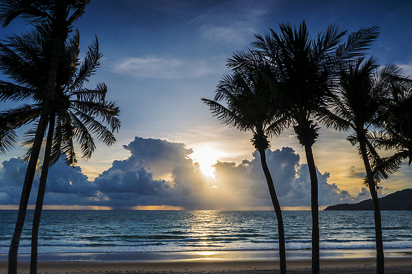 포토 JPG 해외이미지 나무 구름 실루엣 아시아 모래 바다 섬 여행 백그라운드 오렌지 태국 자연 벽지 하늘 휴가 휴식 손바닥 풍경 해변 사람없음 야외 물 여름 햇빛 태양 뷰티 맑음 침묵 황혼 일몰 저녁 하와이 코코넛 석호 내추럴 이국적 파라다이스 수평선 해외202310 해외포토 자연요소 식물 손 계절 나라 컨셉 과일 날씨 촬영기법 노을 미국 소리 야간 생태계 파일형식