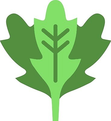 EPS 해외이미지 디자인 선 음식 컨셉 채소 과일 일러스트 건강 초록색 정원 샐러드 신선 심볼 윤곽 고립 루꼴라 채식주의자 해외202310 해외일러스트 컬러 채식 파일형식 벡터