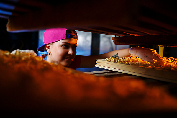 포토 JPG 해외이미지 여자 유니폼 공장 노동자 파스타 한명 상반신 성인 앞모습 업무 제조 넣기 페투치네 성인여자한명만 해외202310 해외포토 직업 1 옷 뷰포인트 공업 모션 서양음식 사람 작업 파스타면 여자한명만 성인여자만 파일형식