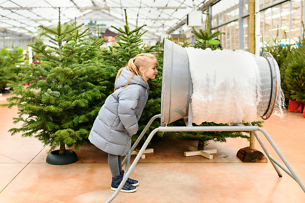 포토 JPG 해외이미지 나무 식물 어린이 크리스마스 겨울 포장 휴가 새해 한명 장식 초록색 농장 세일 상점 덮개 시골 신선 소나무 바늘 그물 시장 선택 구매 플라스틱 12월 묶기 무역 팩 상록수 전나무 소매 공평 짐싸기 매각 해외202310 해외포토 1 계절 기념일 산업 컬러 컨셉 농업 모션 재질 사람 쇼핑 화장품 뚜껑 도구 날짜 파일형식