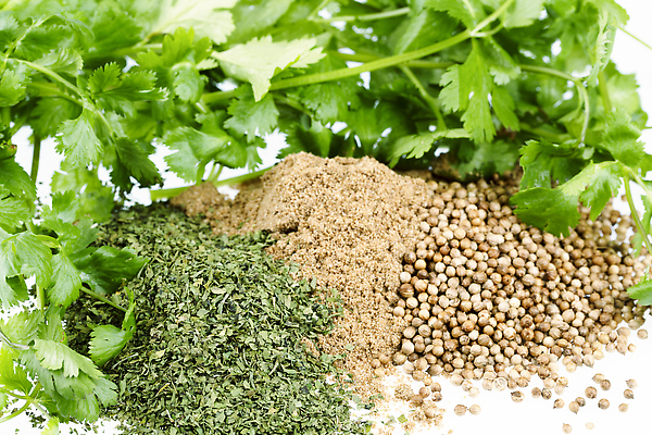 포토 JPG 해외이미지 음식 잎 재료 건조 건강 요리 씨앗 사람없음 갈색 쌓기 양념 조미료 가루 허브 유기농 날것 흙더미 땅바닥 해외202310 해외포토 식물 웰빙 컬러 모션 바닥 흙 향미료 파일형식 더미