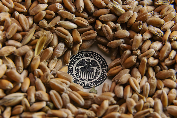 포토 JPG 해외이미지 산업 음식 빵 컨셉 지폐 돈 밭 농업 비즈니스 사람없음 금융 경제 농작물 글로벌 농장 노란색 달러 저축 수확 성장 비즈니스맨 사발 낟알 시리얼 밀 발굴 삼베 유기농 눈금 러시아 귀 가치 밀짚 내추럴 밭일 숙성 해외202310 해외포토 웰빙 남자 유럽 컬러 곡류 신체부위 직장인 사기그릇 재산 짚 파일형식 천_직물