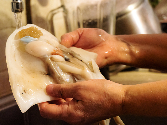 포토 JPG 해외이미지 동물 손 웰빙 음식 바다 연체동물 무척추동물 잉크 건강 갑각류 요리 한명 사람없음 물 이탈리아 흰색 잡기 개울 칼 떨어짐 그릴 자르기 지중해 먹기 싱크대 오징어 준비 날것 손질 촉수 건강식 점심식사 해외202310 해외포토 자연요소 1 유럽 컬러 컨셉 모션 주방용품 사람 신체부위 강 식사 수중동물 개수대 파일형식