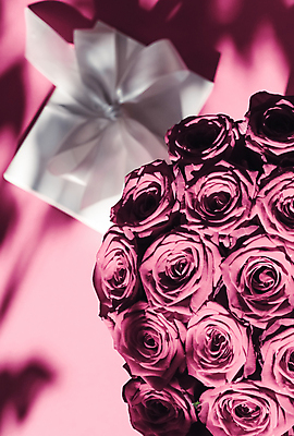 포토 JPG 해외이미지 행복 리본 분홍색 꽃다발 사랑 사람없음 선물상자 로맨틱 해외202310 해외포토 꽃 감정 컬러 컨셉 선물 상자 파일형식