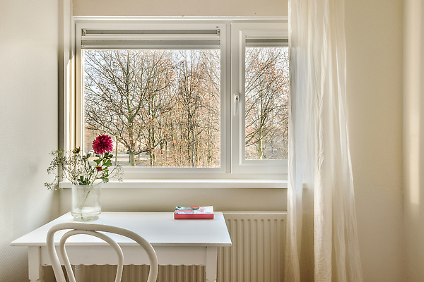 포토 JPG 해외이미지 꽃 가구 거실 의자 창문 실내 사람없음 내부 책 인테리어 방 커튼 책상 리빙 해외202310 해외포토 식물 디자인 생활용품 파일형식
