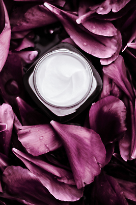 포토 JPG 해외이미지 꽃잎 근접촬영 사람없음 고급 자주색 피부관리 스킨케어 기초화장품 수분크림 해외202310 해외포토 꽃 뷰포인트 컬러 컨셉 뷰티 화장품 파일형식