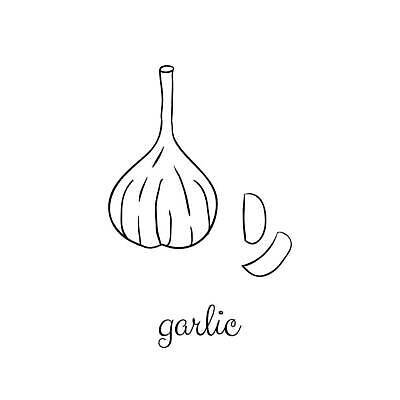 EPS 해외이미지 식물 손 디자인 음식 백그라운드 농업 채소 일러스트 재료 자연 건강 마늘 요리 검은색 흰색 신선 조미료 낙서 만화 향신료 오브젝트 유기농 윤곽 고립 숙성 채식주의자 벡터 해외202310 해외일러스트 웰빙 산업 컬러 신체부위 생태계 채식 향미료 파일형식