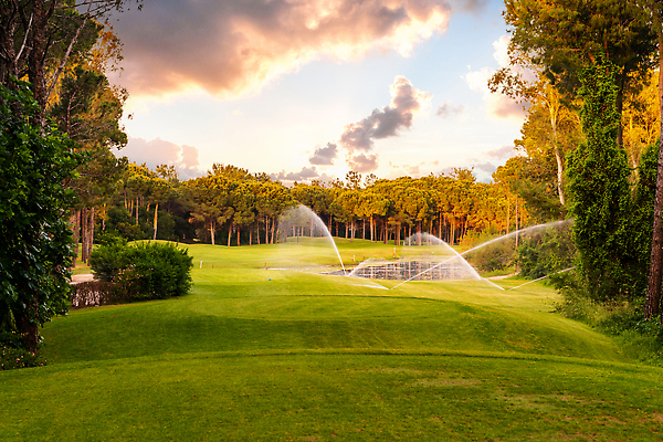 포토 JPG 해외이미지 나무 구름 라이프스타일 호수 스포츠 백그라운드 밭 골프 골프장 자연 놀이 하늘 파노라마 풍경 잔디 취미 사람없음 야외 초록색 물 여름 파란색 햇빛 일출 맑음 황혼 일몰 골프채 게임 소나무 강의 클럽 휴양지 칠면조 페어웨이 비어있는 해외202310 해외포토 자연요소 식물 계절 컬러 농업 스포츠시설 조류 날씨 골프용품 촬영기법 생활 태양 구기 노을 장소 생태계 파일형식