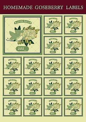 EPS 해외이미지 일러스트 사람없음 초록색 세트 라벨 사각형 빈티지 잼 구스베리 핸드메이드 해외202310 해외일러스트 도형 열매 컬러 컨셉 프레임 소스_음식 파일형식 벡터