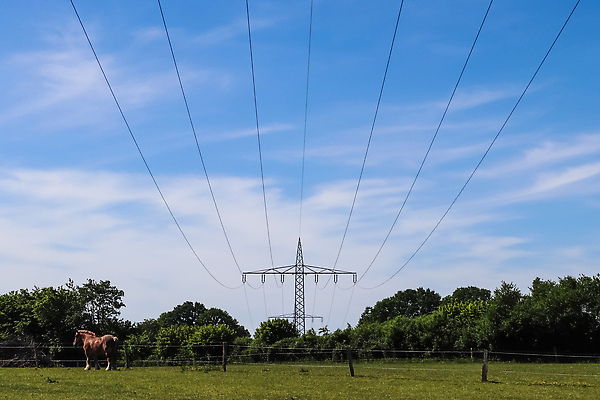포토 JPG 해외이미지 식물 구름 공공시설 실루엣 산업 선 밭 하늘 사람 풍경 사람없음 파란색 환경 탑 금속 힘 일몰 재활용 장비 에너지 시골 네트워크 역 저녁 위험 큼 전염 철사 화석 봉 철탑 공학 세대 전송 분배 전압 철강 힘찬 공급 해외202310 해외포토 자연요소 건축물 교육 컬러 컨셉 농업 교통시설 재질 촬영기법 노을 질병 야간 크기 시설 친환경 감염 파일형식