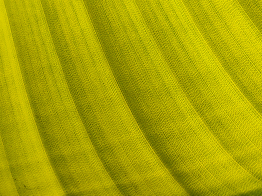 포토 JPG 해외이미지 식물 디자인 선 컬러 백그라운드 잎 패턴 자연 벽지 추상 바나나 건강 손바닥 사람없음 초록색 빛 뷰티 노란색 환경 줄무늬 신선 묘사 유기농 질감 심플 녹색배경 대각선 내추럴 생태학 엘리먼트 이국적 그리너리 해외202310 해외포토 손 웰빙 교육 무늬 과일 생태계 파일형식 트랜드컬러