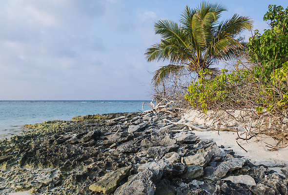 포토 JPG 해외이미지 나무 식물 바다 섬 여행 잎 자연 하늘 파노라마 풍경 사람없음 야외 물 여름 야자수 뷰티 노란색 환경 전원 서핑 멀리 석호 몰디브 내추럴 고립 파라다이스 수평선 비어있는 해외202310 해외포토 자연요소 계절 아시아 컬러 촬영기법 수상스포츠 전기에너지 생태계 파일형식
