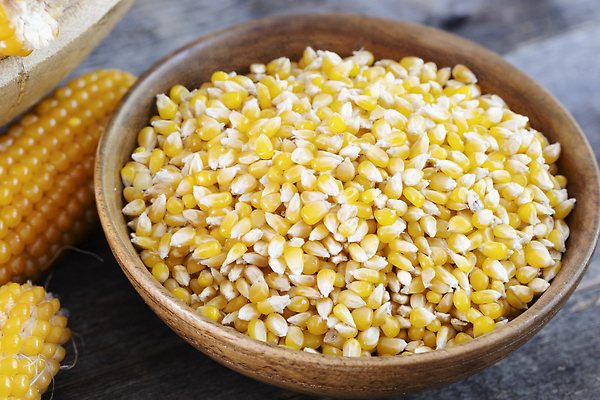 포토 JPG 해외이미지 음식 건조 건강 옥수수 씨앗 사람없음 목재 노란색 시골 사발 유기농 알맹이 날것 팝콘 팝 해외202310 해외포토 나무 식물 웰빙 컬러 재료 곡류 사기그릇 파일형식