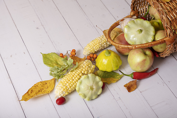 포토 JPG 해외이미지 식물 계절 음식 백그라운드 단풍 잎 농업 다이어트 채소 재료 자연 건강 옥수수 요리 사람없음 장식 빨간색 초록색 여름 농작물 농장 바구니 마을 정원 수확 가을 시골 신선 사과 9월 먹기 유기농 날것 후추 비타민 추수감사절 내추럴 밭일 숙성 해외202310 해외포토 웰빙 산업 기독교 컬러 과일 모션 곡류 날짜 향신료 생태계 영양소 파일형식