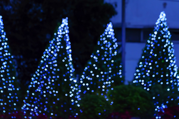 포토 JPG 해외이미지 나무 계절 행복 백그라운드 크리스마스 겨울 휴가 전등 새로움 선물 사람없음 목재 장식 빨간색 초록색 산타클로스 노란색 우주 축제 흰색 축하 12월 연도 보케 전나무 해외202310 해외포토 식물 기념일 감정 컬러 컨셉 재료 조명 날짜 파일형식