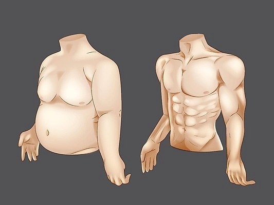 EPS 해외이미지 모양 라이프스타일 남자 스포츠 컨셉 신체 다이어트 일러스트 성공 근육 건강 사람 성인 그래픽 뷰티 약 힘 변화 몸무게 만화 비만 날씬함 서식 근육질 칼로리 고립 돌봄 분실 적자 해로움 전후 벡터 현실 해외202310 해외일러스트 의학 모션 생활 비교 몸매 파일형식