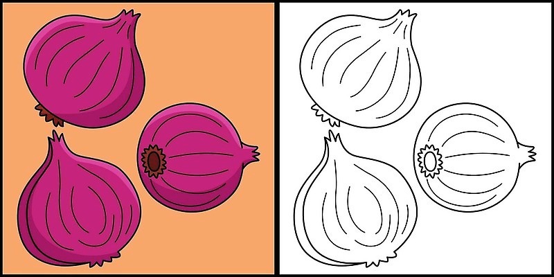 EPS 해외이미지 클립아트 디자인 실루엣 어린이 선 음식 컬러 다이어트 채소 일러스트 재료 전구 양파 건강 미술 그래픽 여름 컬러풀 신선 낙서 만화 그림 유기농 슬라이스 윤곽 손그림 페이지 비타민 걸음마 색칠공부 채식주의자 벡터 샬롯 맛있는 해외202310 해외일러스트 웰빙 계절 모션 문화예술 촬영기법 사람 학습 색칠 채식 영양소 파일형식