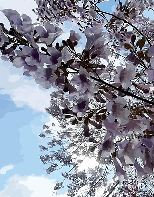 EPS 해외이미지 식물 디자인 배너 계절 꽃잎 꽃 포스터 컬러 꽃다발 결혼 백그라운드 잎 꽃무늬 패턴 일러스트 자연 벽지 추상 미술 장식 초록색 컬러풀 뷰티 정원 봄 낭만 수확 벚꽃 흰색 나뭇가지 인사 신선 신용카드 개화 인쇄 질감 초대 내추럴 고립 엘리먼트 해외202310 해외일러스트 나무 컨셉 무늬 농업 문화예술 이벤트 금융 예절 생태계 파일형식 벡터