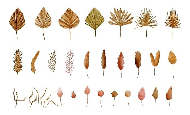 EPS 해외이미지 식물 템플릿 디자인 꽃 포스터 꽃다발 결혼 잎 꽃무늬 일러스트 자연 결혼식 프레임 건조 손바닥 장식 세트 파티 정원 화환 봄 수확 나뭇가지 시골 신용카드 우아함 수집 초대 고립 파스텔톤 벡터 미니멀 국경 해외202310 해외일러스트 나무 손 계절 컬러 컨셉 무늬 농업 이벤트 금융 생태계 파일형식