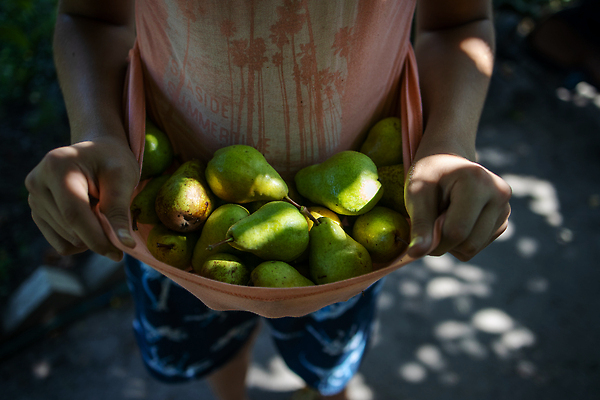 포토 JPG 해외이미지 옷 남자 행복 어린이 놀이 건강 미소 소년 사람없음 내부 치료 금발 약 건강관리 재킷 전시 활발 기쁨 의사 게임 잡기 선택 피부 주기 긍정 쇼 팔 보여주기 비타민 테라피 걸음마 결백 바디케어 영양분 오리지널 천진난만 해외202310 해외포토 헤어스타일 감정 컨셉 의학 모션 표정 관리 사람 신체부위 뷰티 외투 의료진 영양소 파일형식