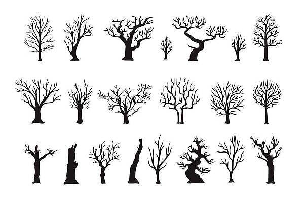 EPS 해외이미지 모양 나무 식물 디자인 계절 실루엣 줄기 백그라운드 낙엽 겨울 꽃무늬 패턴 일러스트 자연 추상 건조 미술 풍경 야외 목재 그래픽 장식 세트 검은색 가을 흰색 나뭇가지 죽음 신용카드 플랫 숲 수집 그림 심플 윤곽 내추럴 고립 벌거벗은 엘리먼트 벡터 해외202310 해외일러스트 꽃 컬러 잎 무늬 재료 문화예술 촬영기법 금융 생태계 파일형식