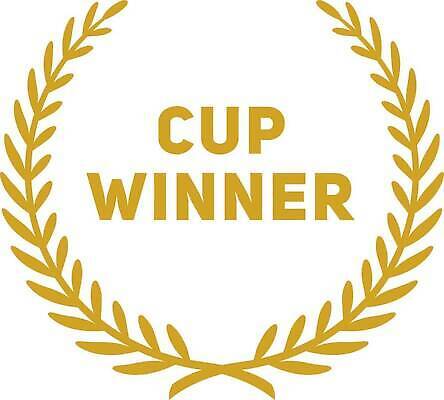 EPS 해외이미지 1 스포츠 일러스트 비즈니스 성공 이벤트 그래픽 장식 컵 빛 금속 검은색 화환 경쟁 축하 우승 원형 황금 만화 상패 트로피 메달 순수 사인 리더 배지 명예 고립 승인 승자 시상 정복 챔피언 프로그램 필승 벡터 해외202310 해외일러스트 도형 식기 꽃 컬러 컨셉 재질 최고 상_우승 상_상패 파일형식