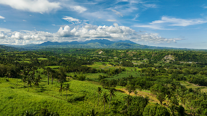 포토 JPG 해외이미지 나무 식물 구름 공원 아시아 여행 잎 농업 자연 하늘 산 풍경 사람없음 야외 초록색 야자수 농장 농경지 계곡 시골 정상 숲 열대우림 언덕 산악지대 항공촬영 논밭 밭일 절정 조감도 해외202310 해외포토 자연요소 공공시설 나라 산업 뷰포인트 컬러 밭 논 생태계 파일형식