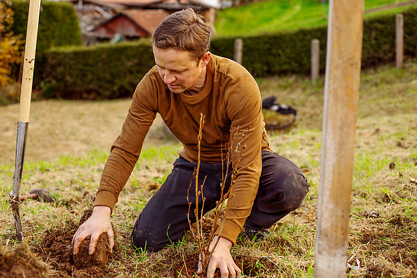 포토 JPG 해외이미지 나무 식물 백인 공원 남자 지구 농업 자연 노동자 관리 작업복 한명 잔디 취미 야외 초록색 환경 정원 봄 도구 업무 에코 친환경 원예 내추럴 돌봄 땅바닥 생태학 심기 원예사 해외202310 해외포토 서양인 직업 1 옷 계절 공공시설 교육 산업 컬러 모션 바닥 사람 작업 생태계 파일형식