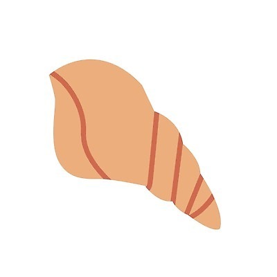 EPS 해외이미지 식물 동물 야생동물 바다 여행 일러스트 자연 휴가 조개 불가사리 연체동물 항해 나선형 어류 해변 장식 물 여름 세트 컬러풀 바닷속 수중 껍질 해조류 산호 만화 오브젝트 달팽이 손그림 암초 수족관 고립 동물상 앵무조개 이국적 벡터 해외202310 해외일러스트 자연요소 계절 컬러 무늬 어패류 극피동물 무척추동물 조형물 수중동물 배 해양식물 자포동물 생태계 선박 파일형식 수상교통 미술 수중식물 교통수단 문화예술 교통