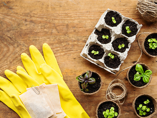포토 JPG 해외이미지 식물 장갑 잎 농업 가방 탁자 씨앗 취미 사람없음 목재 노란색 환경 성장 시골 신선 보호 냄비 친환경 생태계 원예 고무 바질 땅바닥 모종 온실 플랫레이 카피스페이스 해외202310 해외포토 나무 잡화 산업 컬러 가구 컨셉 재료 바닥 공백 플랫 솥 파일형식