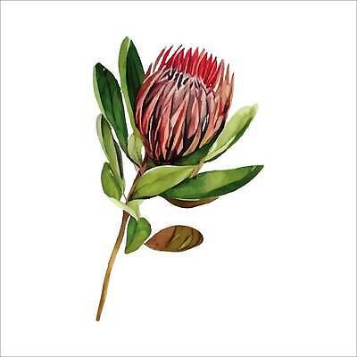 EPS 해외이미지 나무 식물 디자인 꽃 꽃다발 백그라운드 잎 겨울 일러스트 추상 미술 장식 세트 컬러풀 뷰티 장미 유행 정원 낭만 벚꽃 나뭇가지 인사 인쇄 심볼 싱글 그림 질감 복고 초대 고립 유칼립투스 이국적 스타일 벡터 그리너리 해외202310 해외일러스트 계절 컬러 컨셉 무늬 문화예술 예절 파일형식 트랜드컬러