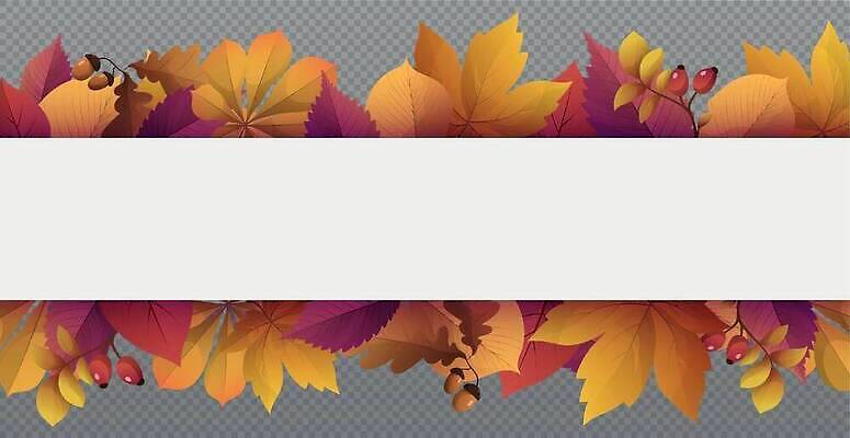 EPS 해외이미지 나무 식물 템플릿 디자인 배너 계절 꽃 포스터 컬러 백그라운드 컨셉 단풍 잎 꽃무늬 패턴 오렌지 일러스트 비즈니스 자연 벽지 추상 프레임 이야기 미술 장식 빨간색 컬러풀 뷰티 노란색 세일 우주 웹 공백 가을 신용카드 황금 9월 11월 질감 10월 엘리먼트 벡터 해외202310 해외일러스트 무늬 인터넷 과일 문화예술 금융 날짜 생태계 파일형식