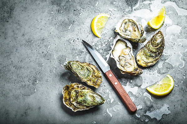 포토 JPG 해외이미지 어패류 사람없음 굴 신선 레몬 해산물 식칼 해외202310 해외포토 동물 과일 주방용품 파일형식