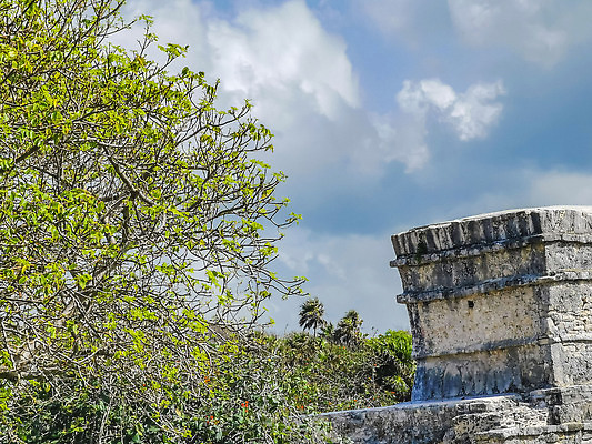 포토 JPG 해외이미지 문화 바다 여행 건축양식 하늘 휴가 멕시코 손바닥 사람 풍경 사람없음 초록색 물 파란색 미국 바위 도시 사찰 역사 땅 폐허 피라미드 유카탄 마야 천연기념물 고고학 랜드마크 옛날 터키석 파라다이스 파멸 해외202310 해외포토 자연요소 건축물 손 교육 건축 컬러 컨셉 북아메리카 종교건축 돌_바위 보석 마야문명 파일형식 소멸