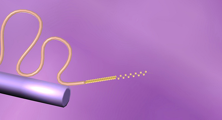 포토 JPG 해외이미지 식물 동물 생물 세포 사람없음 DNA 생물학 미생물 단백질 해외202310 해외포토 교육 생명공학 영양소 파일형식