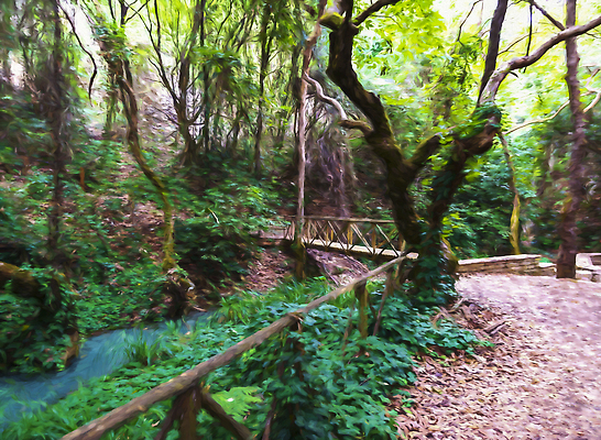 포토 JPG 해외이미지 나무 식물 유럽 길 여행 자국 자연 산 미술 풍경 사람없음 야외 목재 초록색 여름 뷰티 환경 맑음 페인트 탐험 수확 시골 숲 작음 허브 그리스 좁은 내추럴 방법 삼림지대 옛날 해외202310 해외포토 계절 나라 컬러 농업 재료 날씨 문화예술 크기 생태계 파일형식