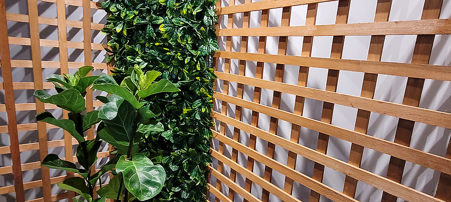 포토 JPG 해외이미지 식물 화초 백그라운드 잎 패턴 자연 화살 주택 건강 사람없음 장식 초록색 뷰티 정원 공백 놀이방 시골 보석 유기농 원예 질감 상업 내추럴 심기 벨벳 해외202310 해외포토 웰빙 컬러 무늬 모션 취미 건물 광석 실크 생태계 파일형식