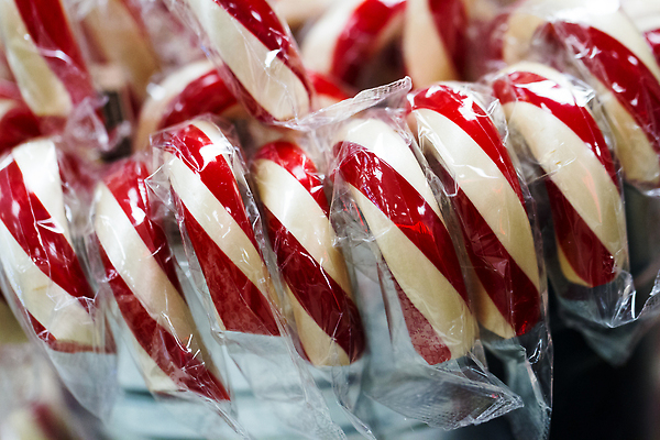 포토 JPG 해외이미지 음식 크리스마스 공장 휴가 디저트 사탕 사람없음 빨간색 덮개 흰색 달콤 양동이 포장지 많음 해외202310 해외포토 기념일 컬러 컨셉 포장 공업 뚜껑 맛 파일형식