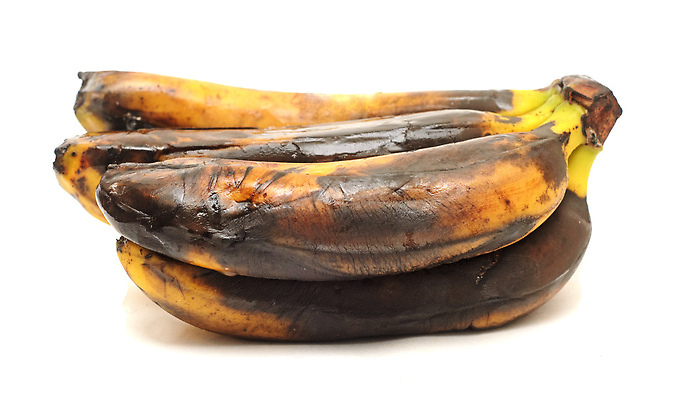 포토 JPG 해외이미지 음식 백그라운드 잎 과일 바나나 사람없음 갈색 정원 손상 지저분함 질병 쓰레기 위험 자르기 유기농 박테리아 낭비 나쁜 고립 곰팡이 썩음 옛날 해외202310 해외포토 식물 웰빙 컬러 컨셉 의학 모션 감각 파일형식