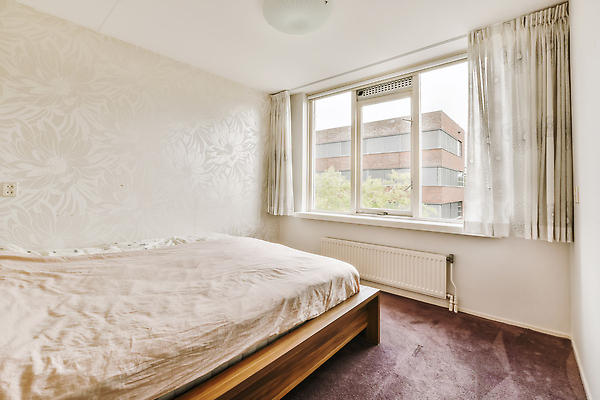 포토 JPG 해외이미지 나무 창문 사람없음 건물 인테리어 카펫 공간 방 침대 비즈발 해외202310 해외포토 식물 건축물 디자인 가구 파일형식