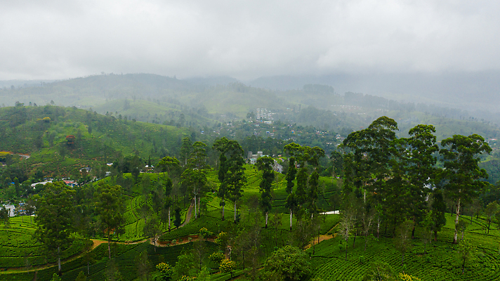 포토 JPG 해외이미지 나무 식물 구름 공원 아시아 여행 잎 농업 자연 하늘 산 동양인 풍경 사람없음 야외 초록색 하이앵글 농장 농경지 환경 계곡 안개 시골 정상 숲 열대우림 언덕 장면 산악지대 항공촬영 스리랑카 절정 조감도 해외202310 해외포토 자연요소 공공시설 나라 산업 뷰포인트 컬러 날씨 인종 생태계 파일형식