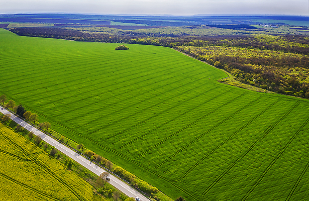 포토 JPG 해외이미지 식물 직업 계절 선 백그라운드 패턴 밭 농업 자연 안테나 풍경 사람없음 야외 초록색 뷰티 농장 농경지 환경 농사 봄 수확 성장 시골 업무 농부 정상 땅 준비 질감 장면 내추럴 항공촬영 넘어짐 방법 밭일 파종 평야 해외202310 해외포토 산업 뷰포인트 컬러 무늬 통신 모션 작업 생태계 파일형식