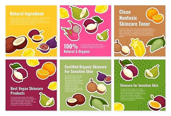 EPS 해외이미지 오렌지 일러스트 사람없음 세트 레몬 열대과일 유기농 코코넛 용과 리치 스타후르츠 해외202310 해외일러스트 웰빙 과일 파일형식 벡터